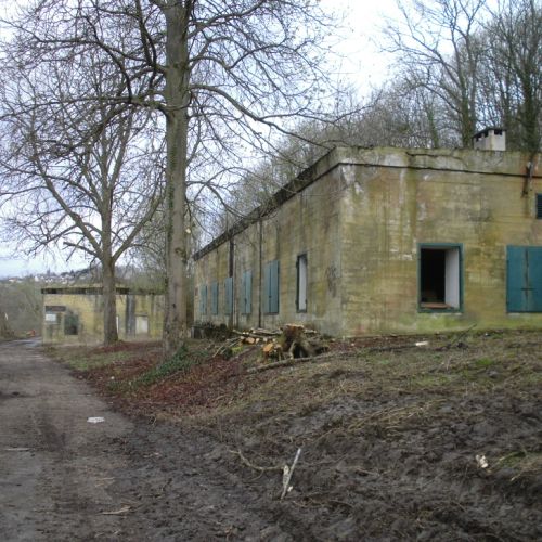 Bau N° 6 et N° 7 défrichés